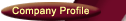 Company Profile
