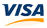Visa Logo